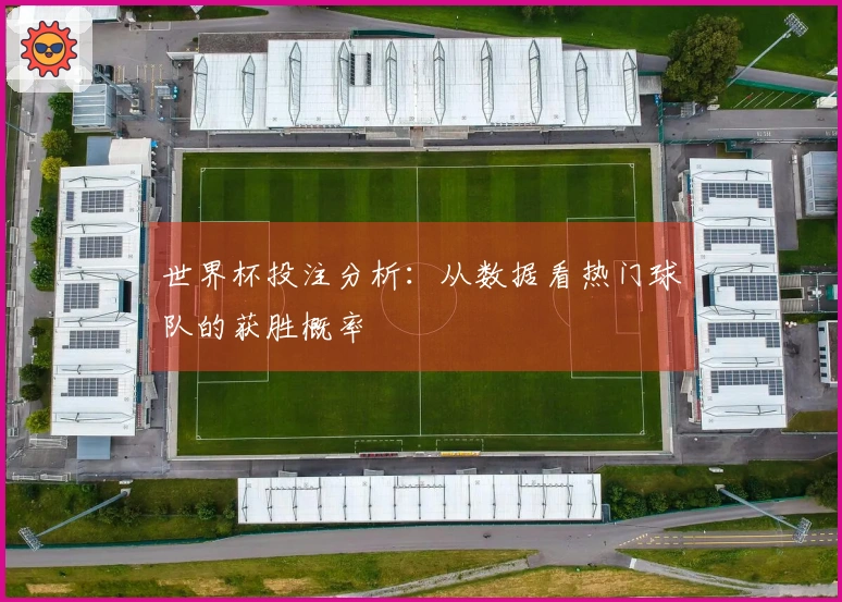 世界杯投注分析：从数据看热门球队的获胜概率