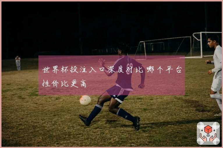 世界杯投注入口深度对比 哪个平台性价比更高
