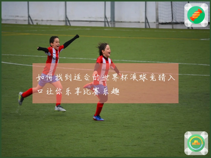 如何找到适合的世界杯滚球竞猜入口让你乐享比赛乐趣