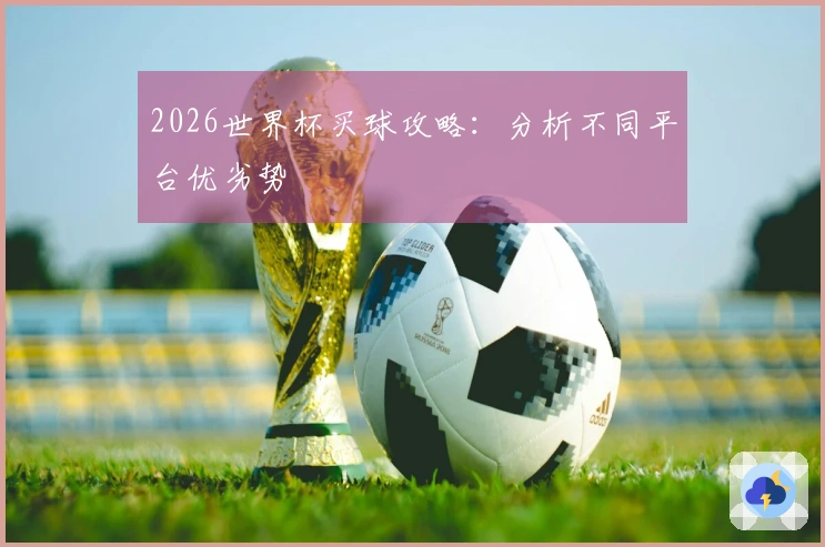 2026世界杯买球攻略：分析不同平台优劣势