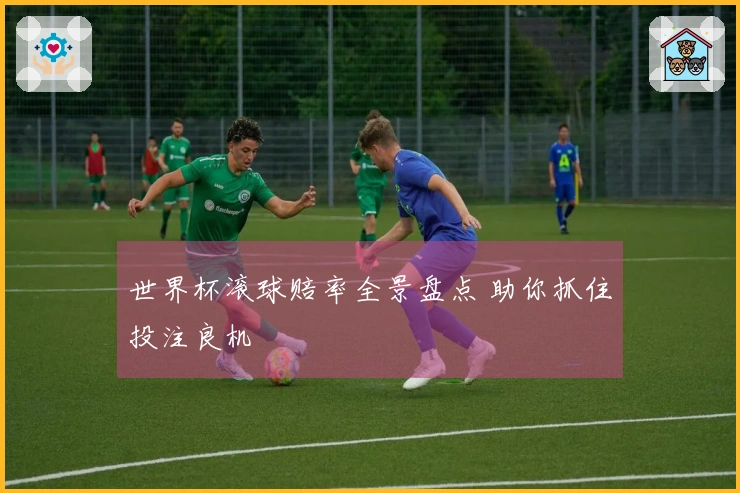 世界杯滚球赔率全景盘点 助你抓住投注良机