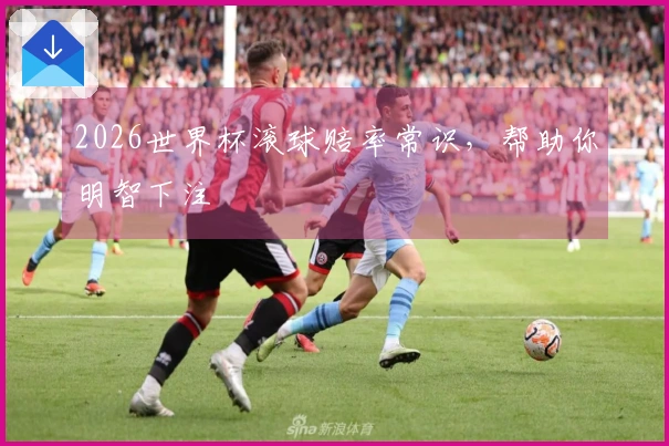 2026世界杯滚球赔率常识，帮助你明智下注