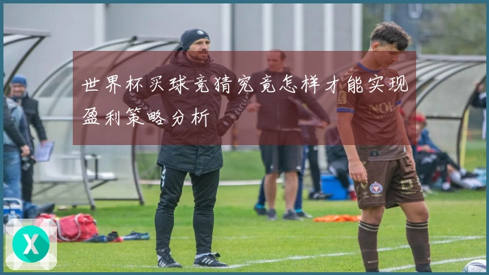 世界杯买球竞猜究竟怎样才能实现盈利策略分析