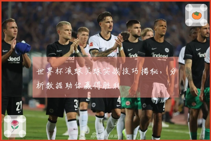 世界杯滚球买球实战技巧揭秘，分析数据助你赢得胜利