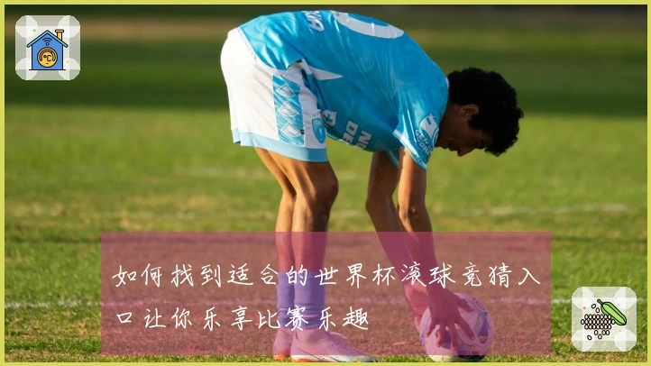 如何找到适合的世界杯滚球竞猜入口让你乐享比赛乐趣