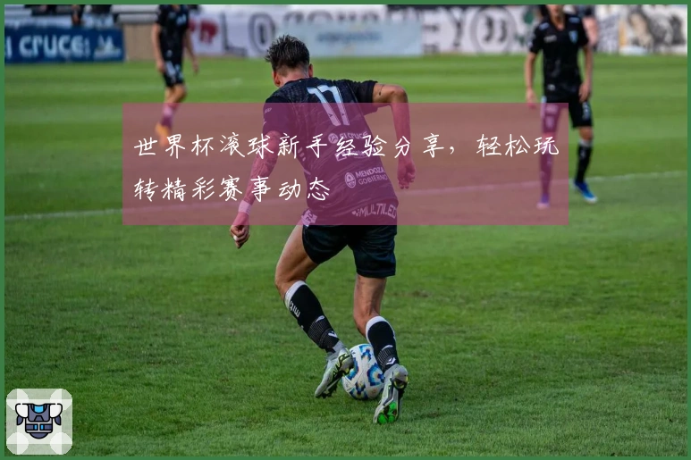 世界杯滚球新手经验分享，轻松玩转精彩赛事动态