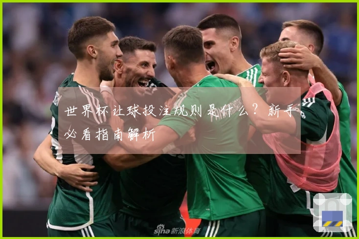 世界杯让球投注规则是什么？新手必看指南解析