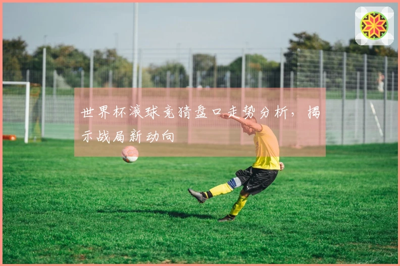 世界杯滚球竞猜盘口走势分析，揭示战局新动向